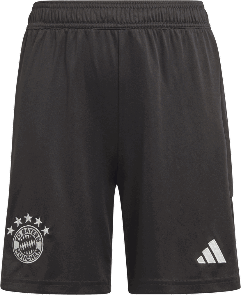 Šortky adidas Originals FC Bayern München Goalkeeper Short 2023/24 Čierna | ib1512