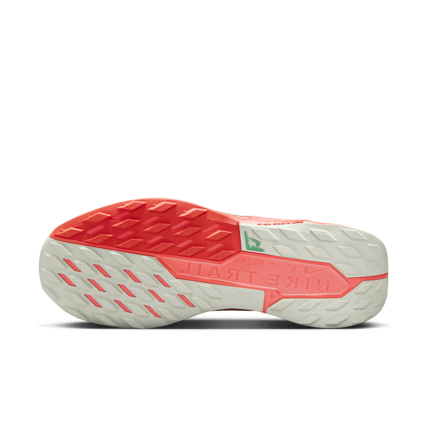 Tenisky a topánky Nike Pegasus Trail 5 GORE-TEX Šedá | FQ0908-004, 1