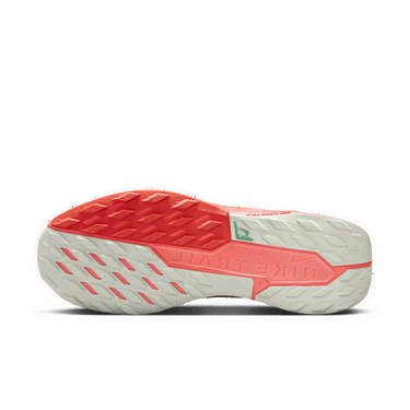 Tenisky a topánky Nike Pegasus Trail 5 GORE-TEX Šedá | FQ0908-004, 1