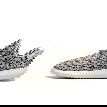 Tenisky a topánky adidas Yeezy Yeezy Boost 350 "Turtle Dove" Šedá | AQ4832, 0