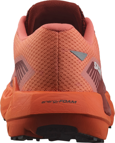 Tenisky a topánky Salomon DRX DEFY GRVL W Oranžová | l47564300, 1