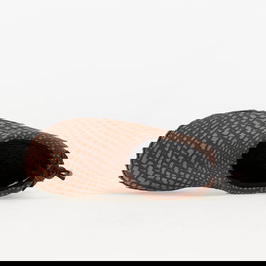 Tenisky a topánky Nike ACG ACG Moc Premium Hnedá | FV4571-200, 2