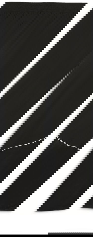 Tepláky Puma teamGOAL Sideline Pants Čierna | 658625-03, 1