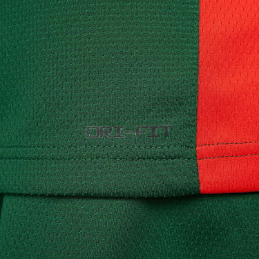 Dres Nike Lithuania LIMITED JERSEY OLYMPIA 24 Zelené | FQ0378-341, 4