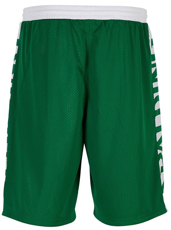 Šortky Spalding Spalding Essential Reversible Shorts Zelené | 3005025-04, 1