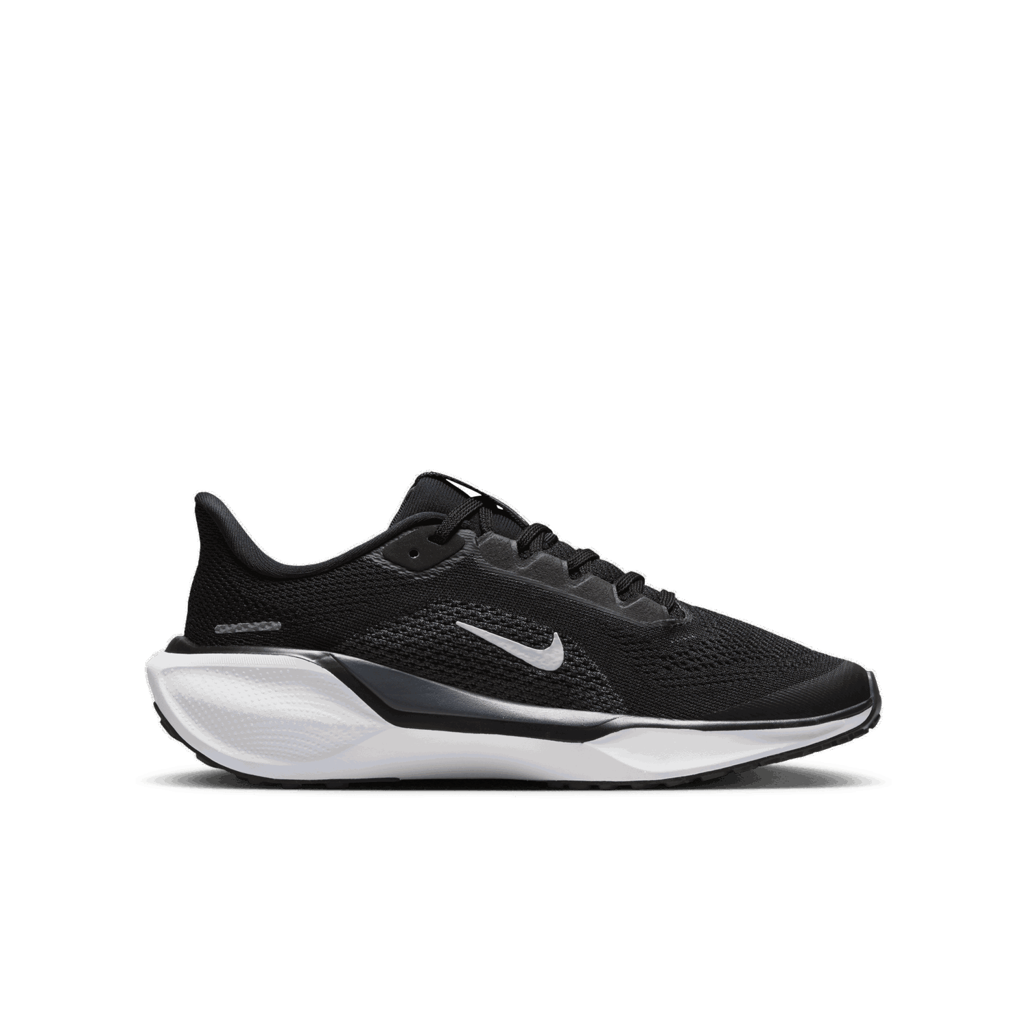Tenisky a topánky Nike Pegasus 41 Čierna | FN5041-001, 1