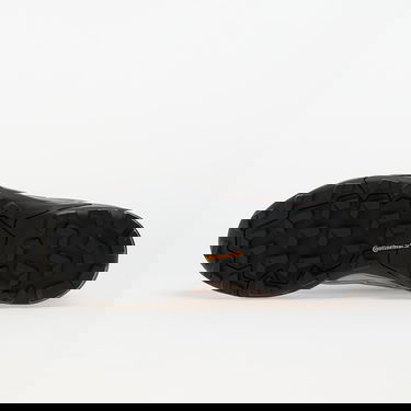 Tenisky a topánky adidas Performance Terrex Skychaser GORE-TEX Hiking Shoes Fialová | IH1100, 1
