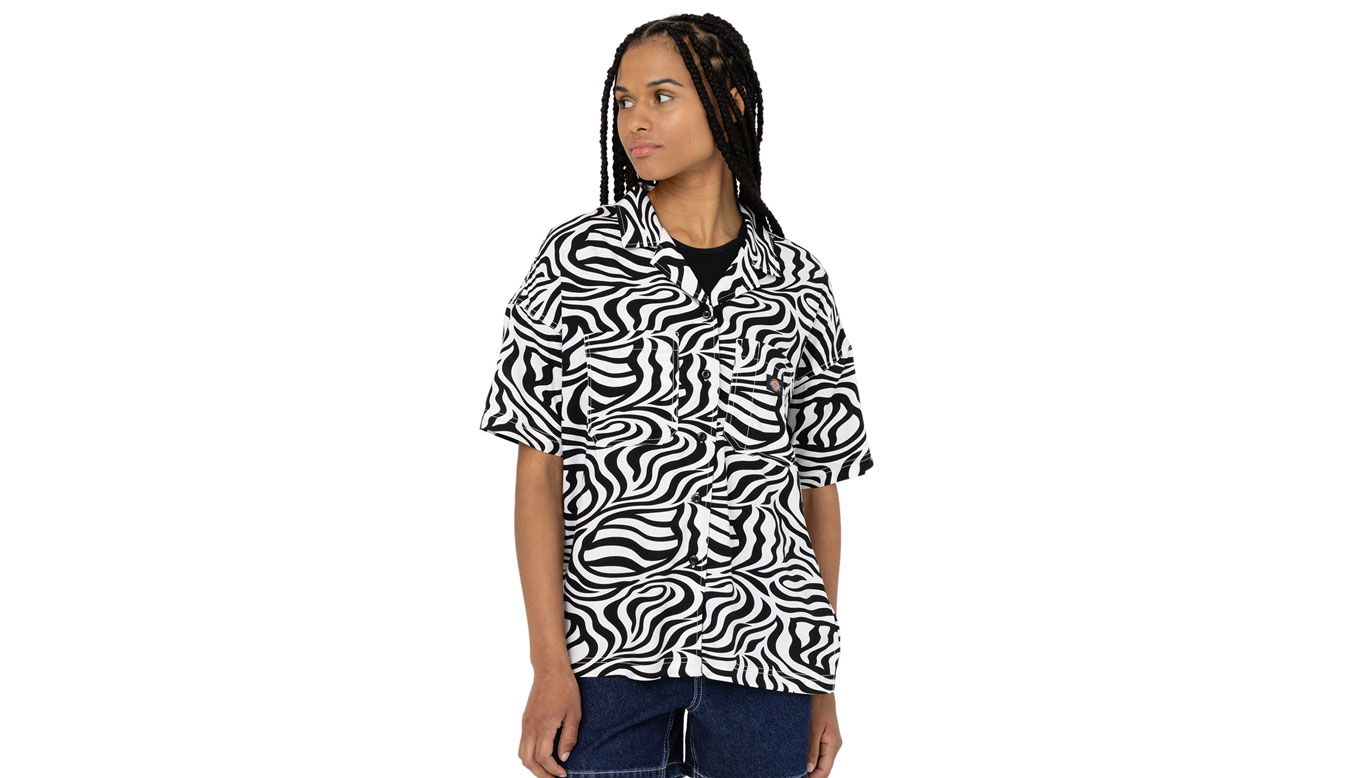 Tričko Dickies Leesburg Cloud Zebra Rôznofarebný | DK0A4Y7TF31, 0