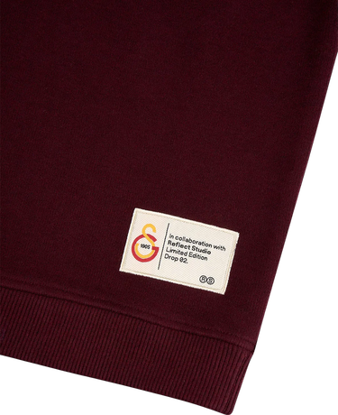 Mikina Puma GSSTORE X Reflect Studio Lion Hoody Vínová | e242400-100, 4