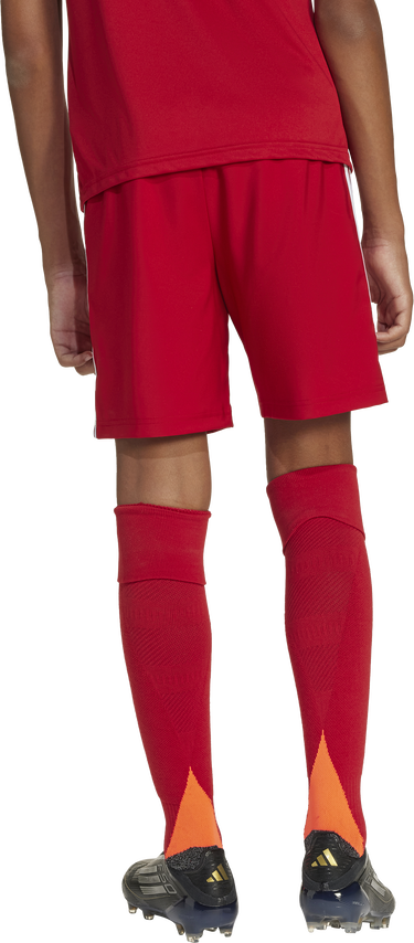 Šortky adidas Originals adidas TASTIGO25 Shorts Červená | jn7172, 3