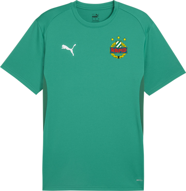 Tričko Puma Puma SK Rapid Wien Training T-Shirt Zelené | skr658636-05, 0