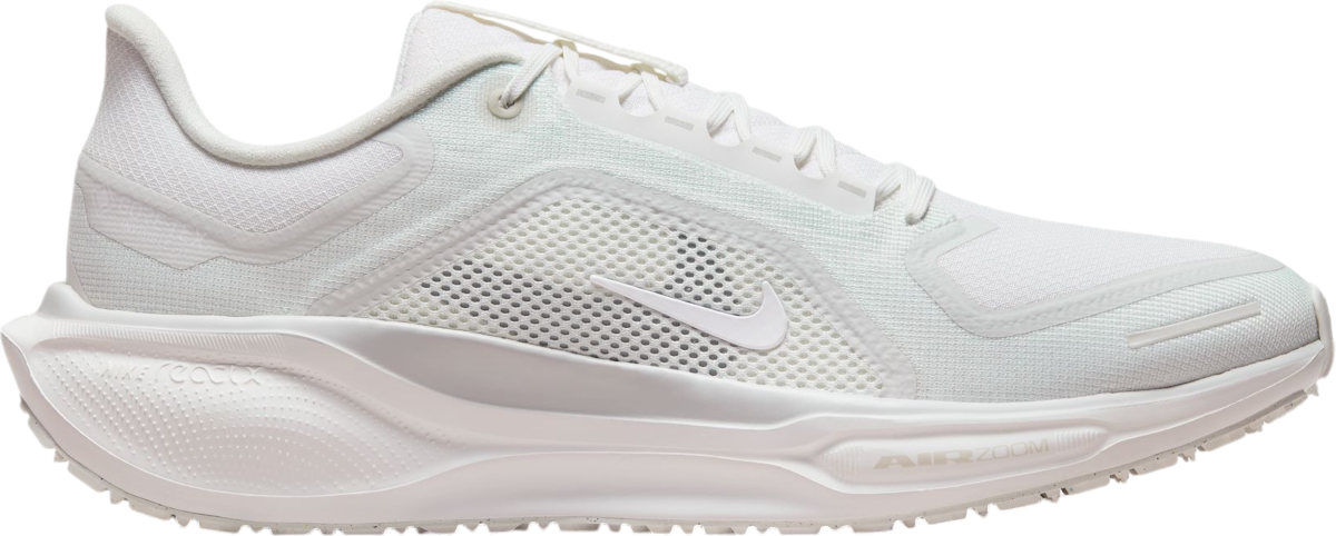 Tenisky a topánky Nike Pegasus 41 GORE-TEX Biela | fq1356-101, 0