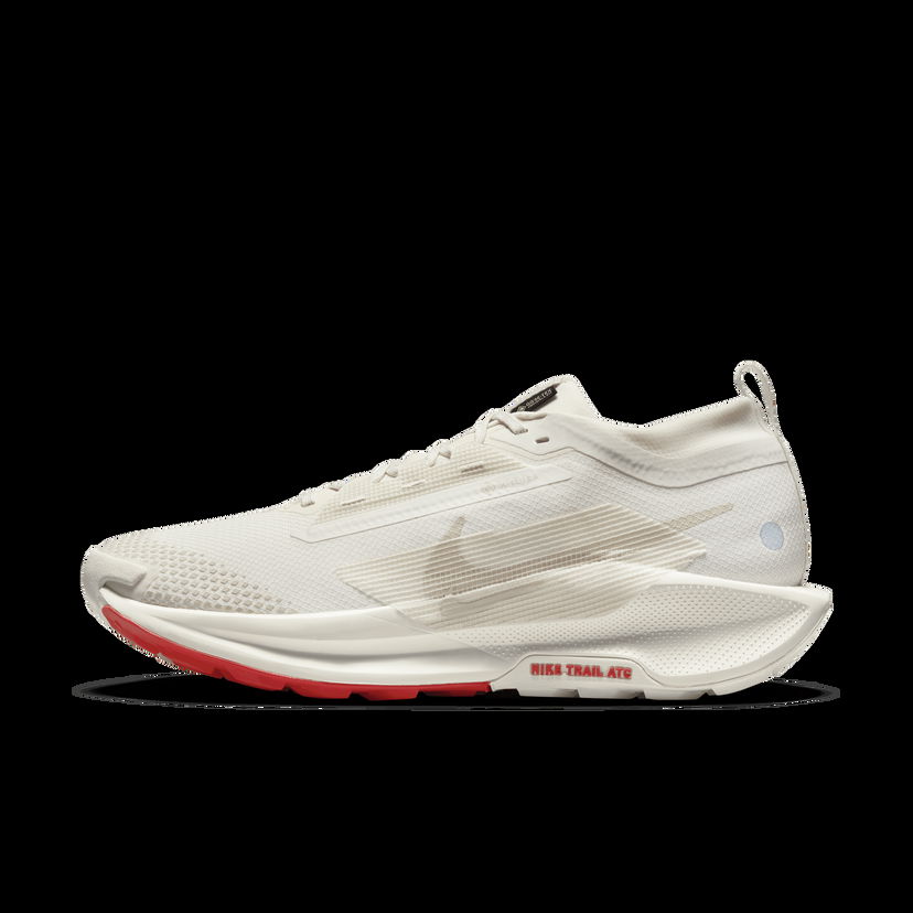 Tenisky a topánky Nike Pegasus Trail 5 GORE-TEX Biela | FQ0908-100