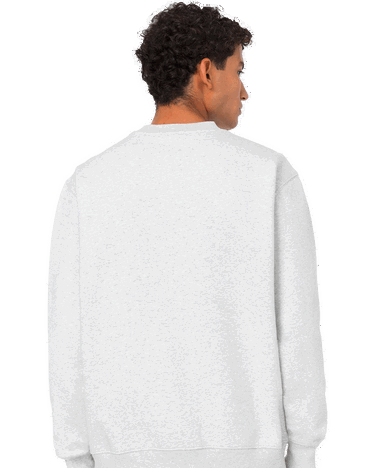 Mikina Dickies Summerdale Sweatshirt Šedá | DK0A4Y6QA281, 2