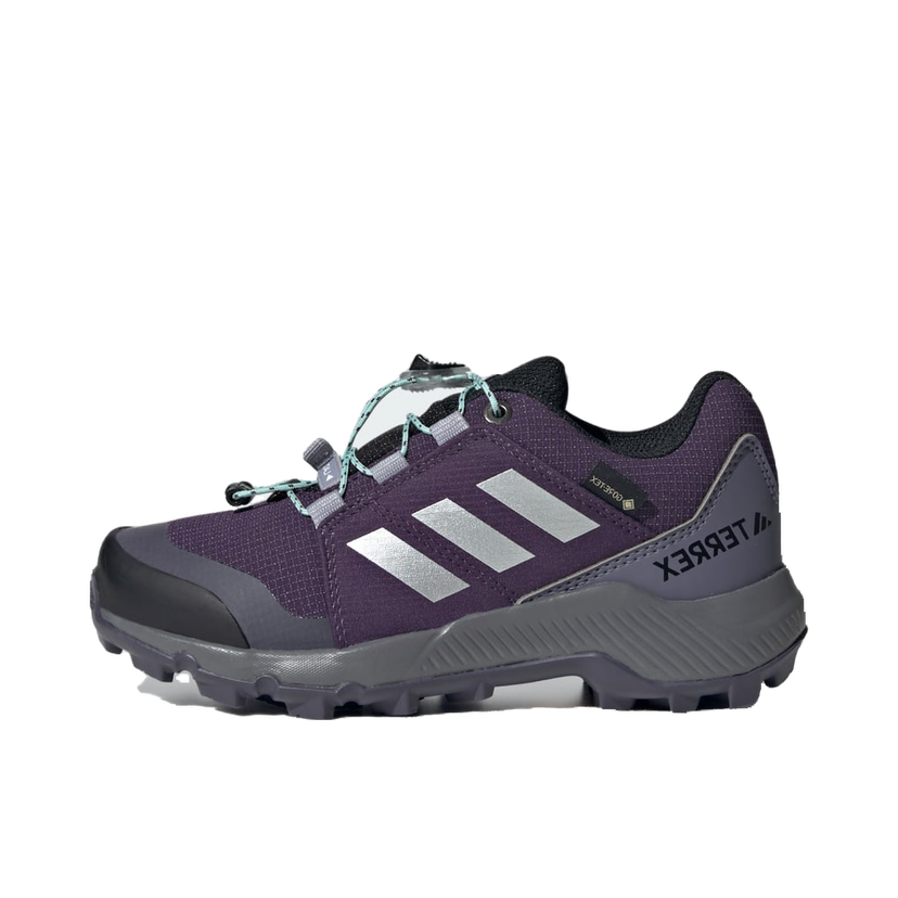 Tenisky a topánky adidas Performance Terrex GORE-TEX Hiking Shoes Fialová | JS2930
