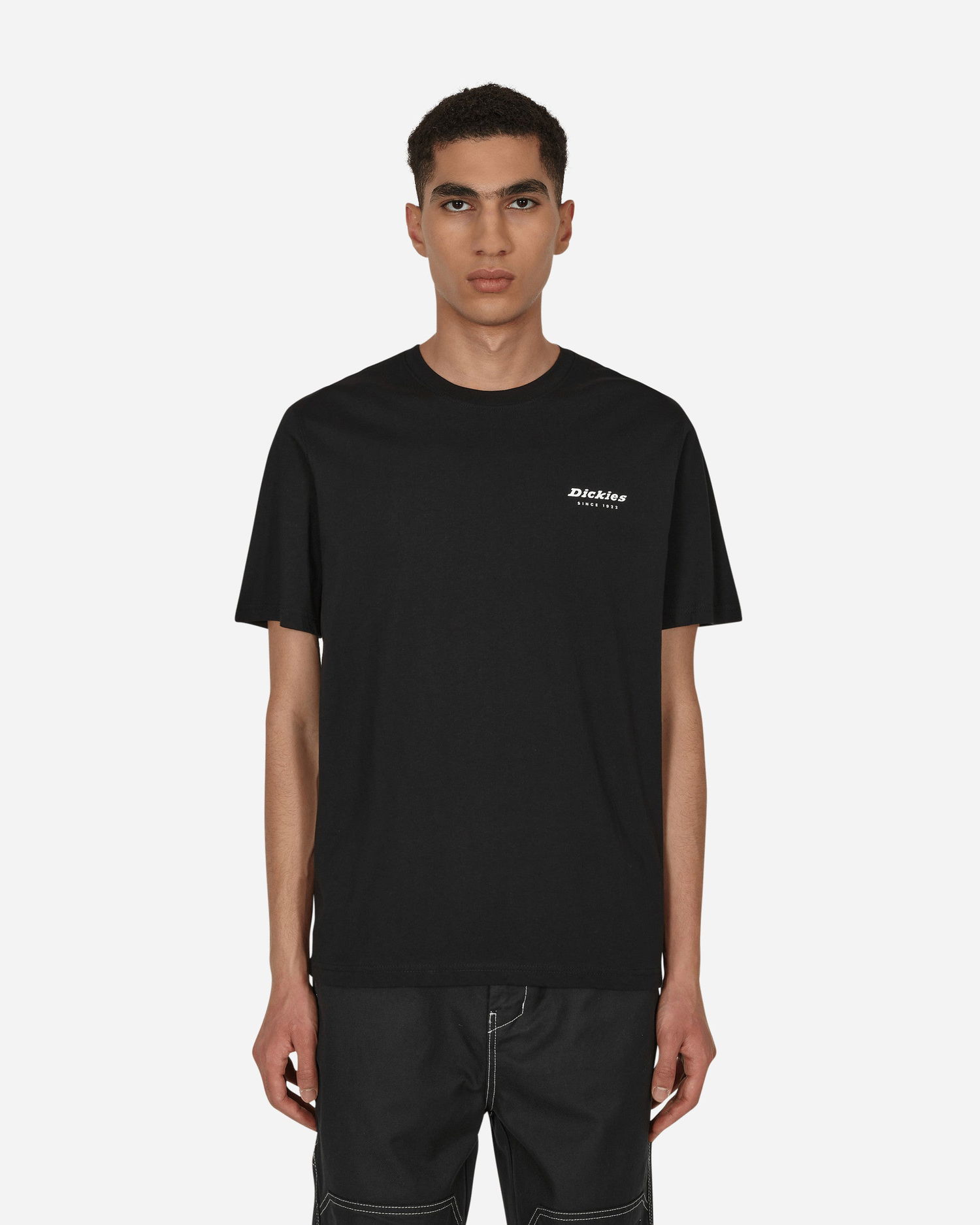 Tričko Dickies Camden Box T-Shirt Čierna | DK0A4Y1H BLK1, 0