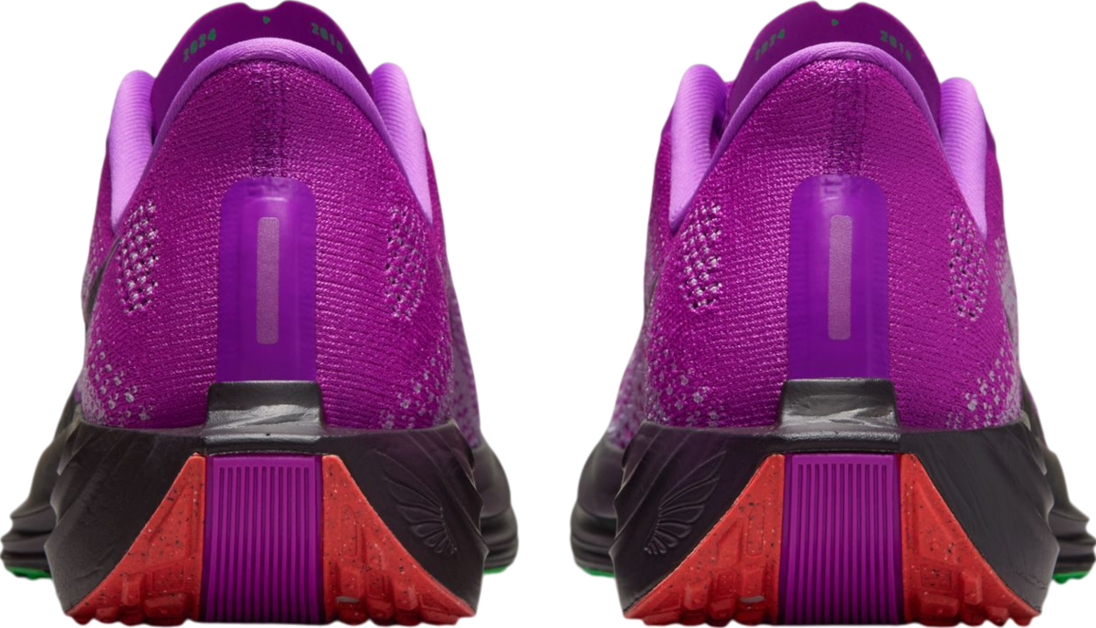 Tenisky a topánky Nike Pegasus Plus Faith Kipyegon Fialová | ib4197-500, 1