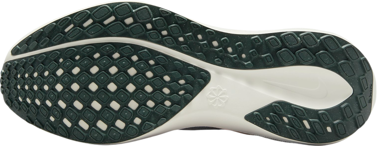 Tenisky a topánky Nike Pegasus 41 Premium Modrá | hv5227-474, 1