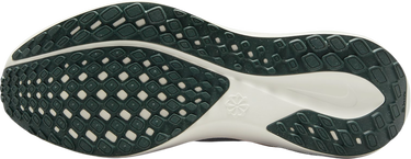 Tenisky a topánky Nike Pegasus 41 Premium Modrá | hv5227-474, 1