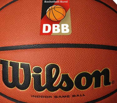 Športový doplnok Wilson Tennis DBB EVOLUTION INDOOR GAME BALL Oranžová | wz1012801xb, 1
