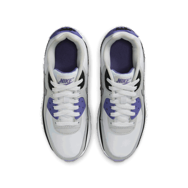 Tenisky a topánky Nike Air Max 90 LTR Fialová | CD6864-129, 2