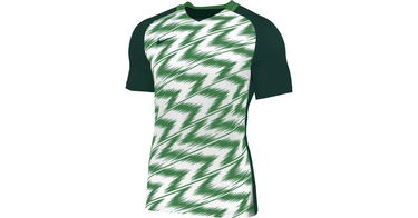 Dres Nike Nike Naija Jersey Zelené | ci9791-302, 1