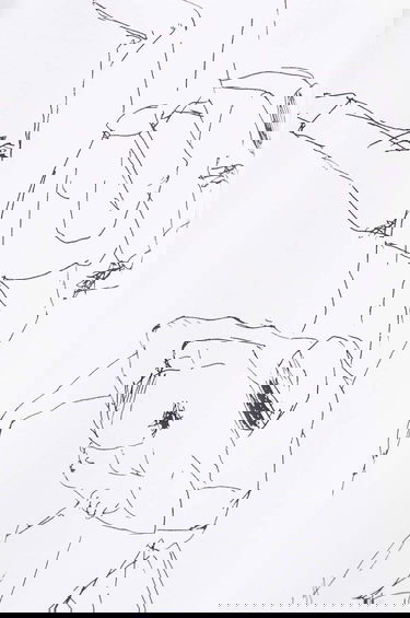 Tričko HELIOT EMIL Graphic T-Shirt Biela | PREAW24.M.09.125, 9