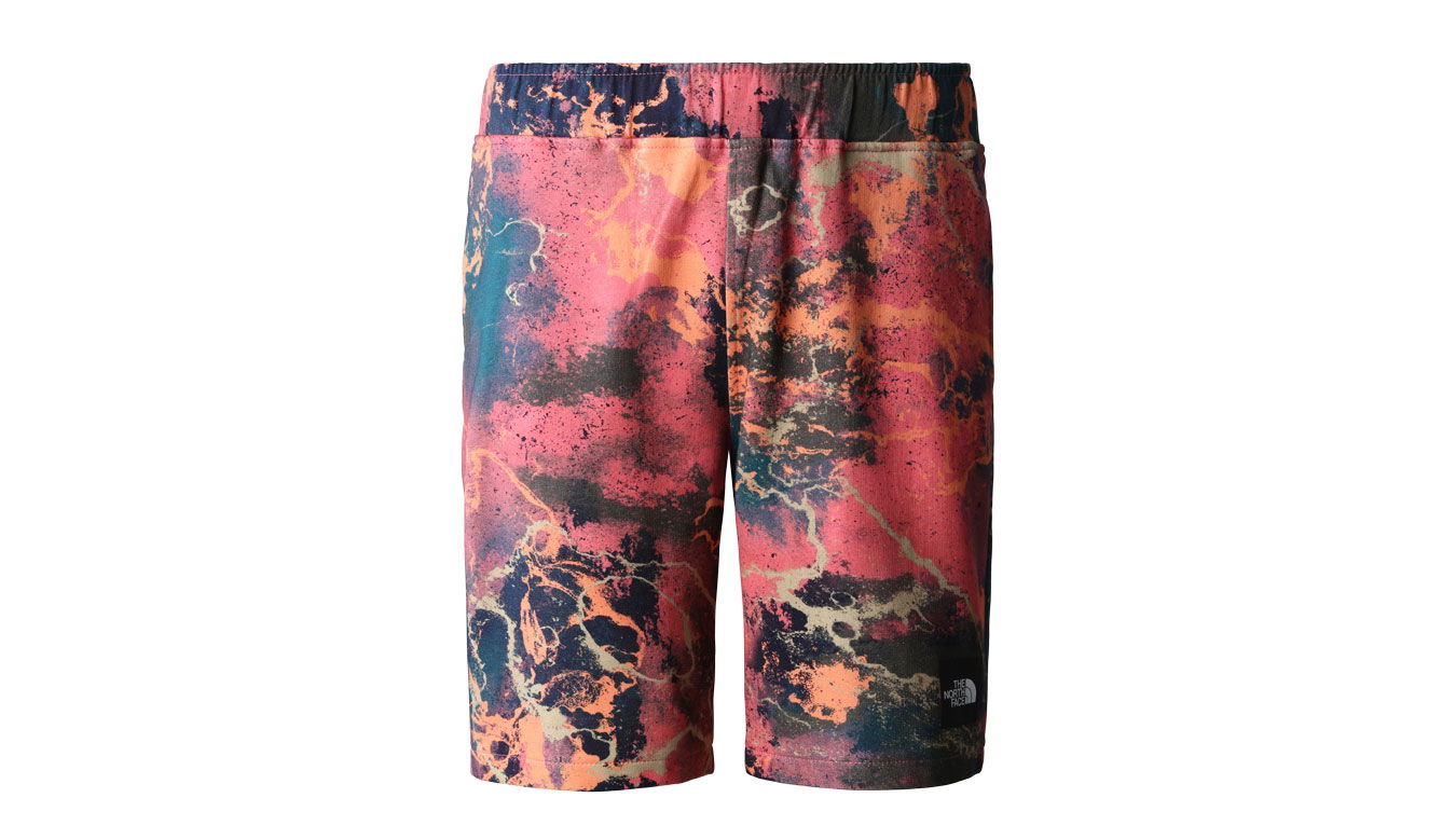 Šortky The North Face M Summer Logo Shorts Rôznofarebný | NF0A8237IOC, 0