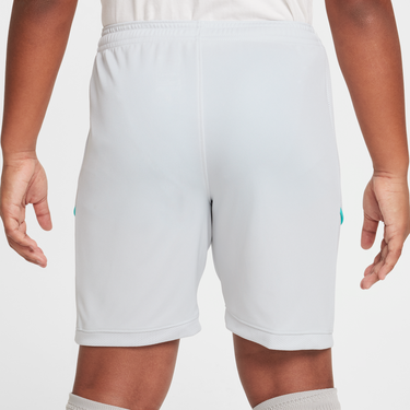 Šortky Nike Dri-FIT Erling Haaland Academy Shorts Šedá | HJ3835-025, 1