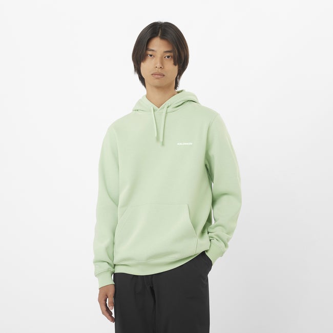Mikina Salomon Hoodie with Chest Logo Zelené | LC2524100, 0