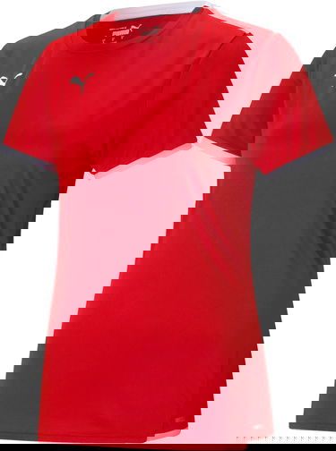 Dres Puma teamLIGA Jersey Červená | 70493401, 0