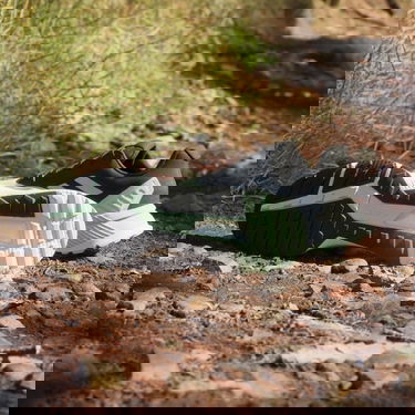 Tenisky a topánky adidas Performance adidas TERREX Terrex Soulstride Trail Running Zelené | IG8023, 4