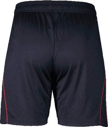 Šortky adidas Originals Fortuna Düsseldorf 3rd Football Shorts 2025/26 Navy | 6f95jd7410-3rd, 1