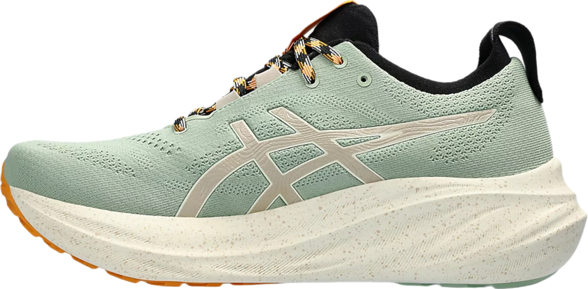 Tenisky a topánky Asics GEL-NIMBUS 26 TR Šedá | 1011b849-250, 1