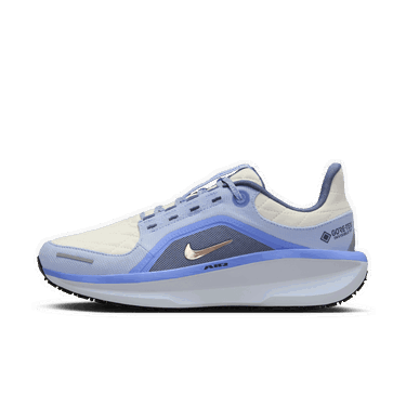 Tenisky a topánky Nike Winflo 11 GORE-TEX Modrá | FQ1359-002, 0