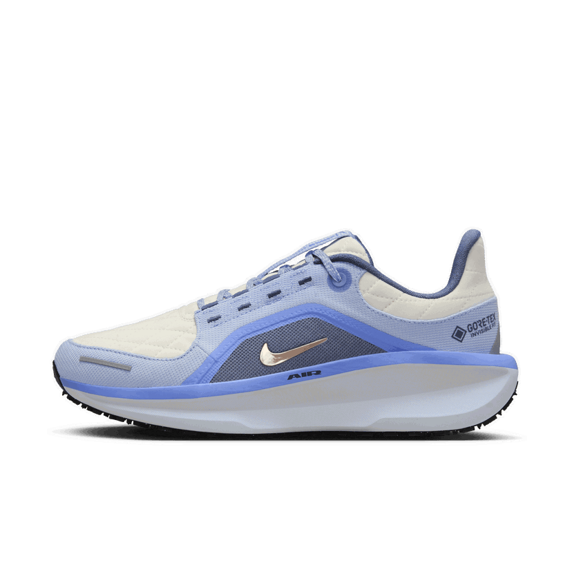 Tenisky a topánky Nike Winflo 11 GORE-TEX Modrá | FQ1359-002