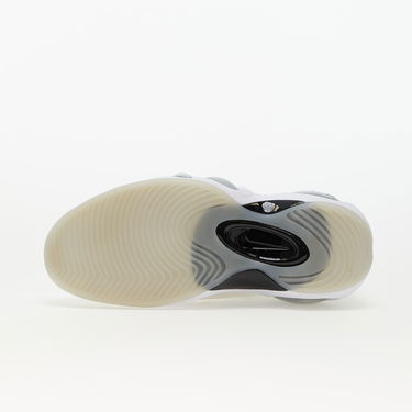 Tenisky a topánky Nike Air Zoom Flight 95 Biela | DX5505-100, 4