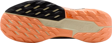 Tenisky a topánky Nike Pegasus Trail 5 GORE-TEX Rôznofarebný | fq0912-011, 4