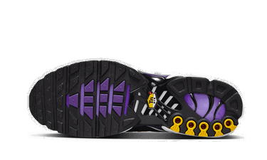 Tenisky a topánky Nike Air Max Plus GS Fialová | CD0609-024, 2