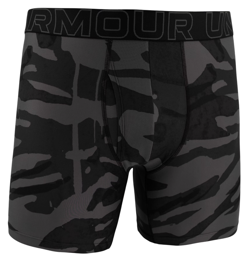 Boxerky Under Armour Under Armour Graphic 6" Boxer Shorts Šedá | 1383875-004