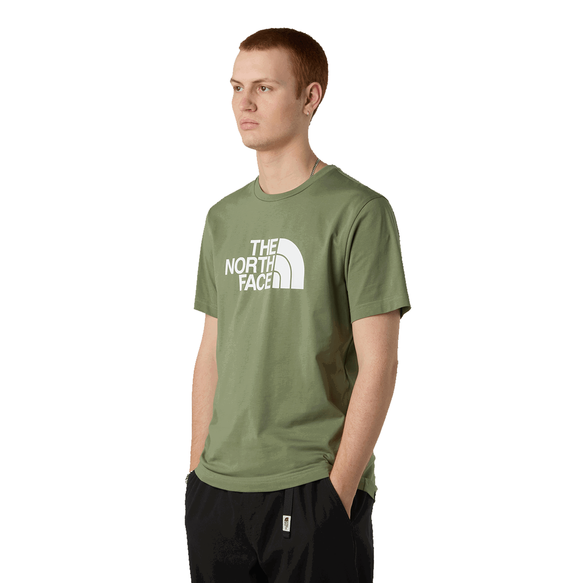 Tričko The North Face The North Face Easy Tee Zelené | NF0A8A6CBO91, 0