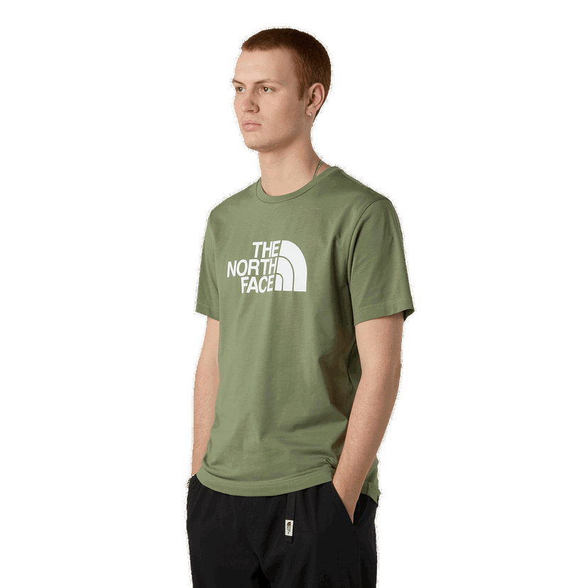 Tričko The North Face The North Face Easy Tee Zelené | NF0A8A6CBO91