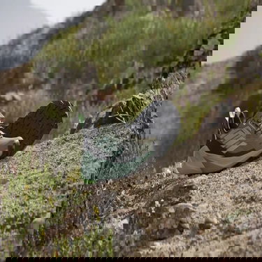 Tenisky a topánky adidas Performance adidas TERREX TRAILMAKER 2 GORE-TEX Šedá | IE5150, 2