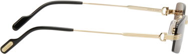 Slnečné okuliare Cartier Cartier 'Première de Cartier' Sunglasses Šedá | CT0535S-001, 1
