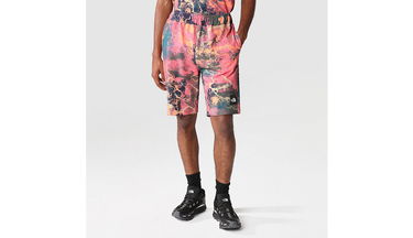 Šortky The North Face M Summer Logo Shorts Rôznofarebný | NF0A8237IOC, 4