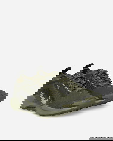 Tenisky a topánky Nike Pegasus Trail 5 GORE-TEX Zelené | HQ7494-300, 2