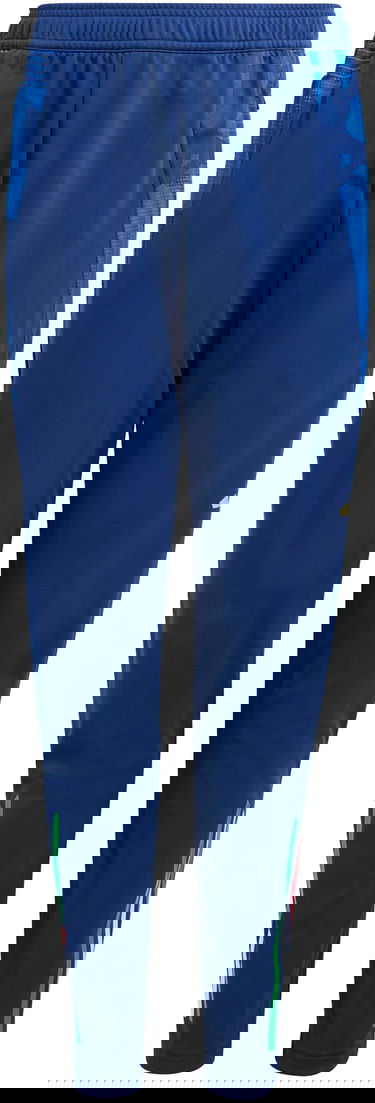Tepláky adidas Originals FIGC Training Pants 2024 Modrá | iq2161, 0