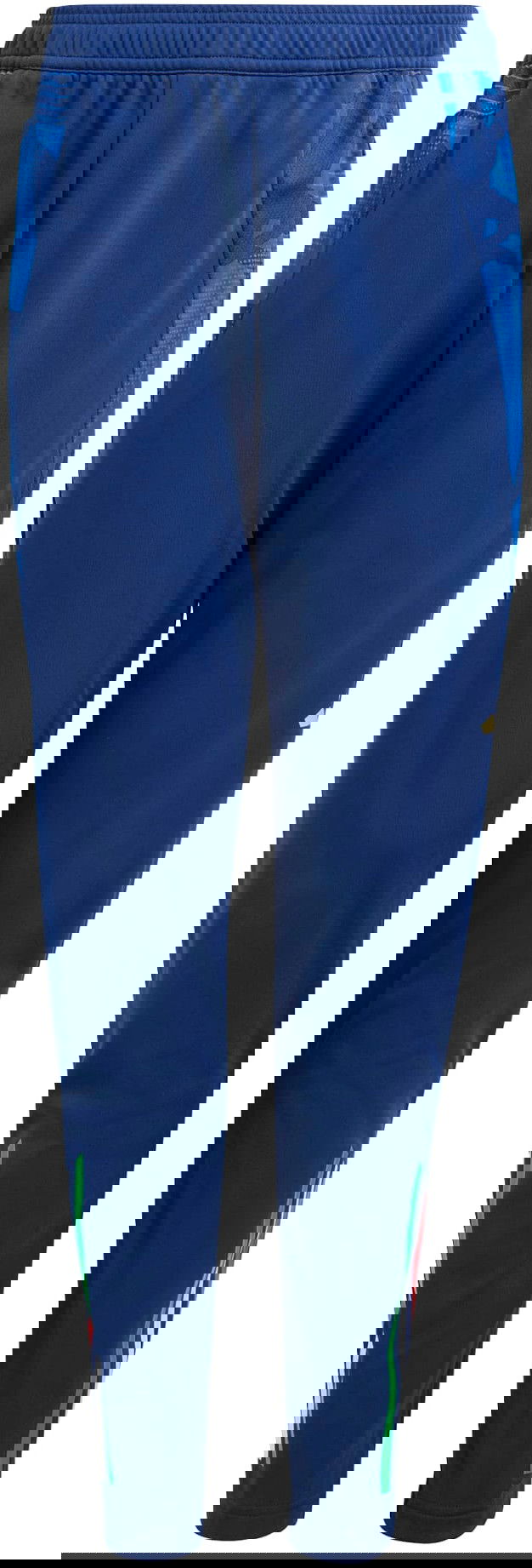 Tepláky adidas Originals FIGC Training Pants 2024 Modrá | iq2161