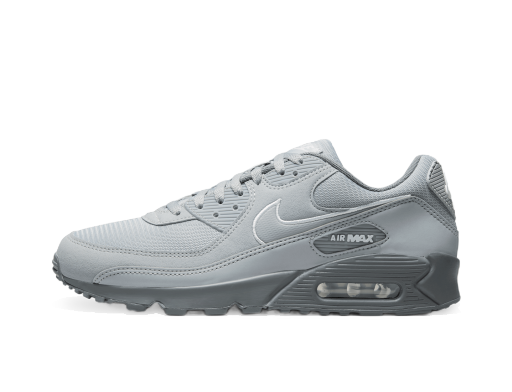 Tenisky a topánky Nike Air Max 90 Šedá | FJ4218-002