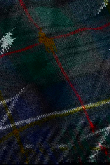 Šál Polo by Ralph Lauren Fringed Plaid Scarf with Embroidered Polo Player Rôznofarebný | 449959352, 1